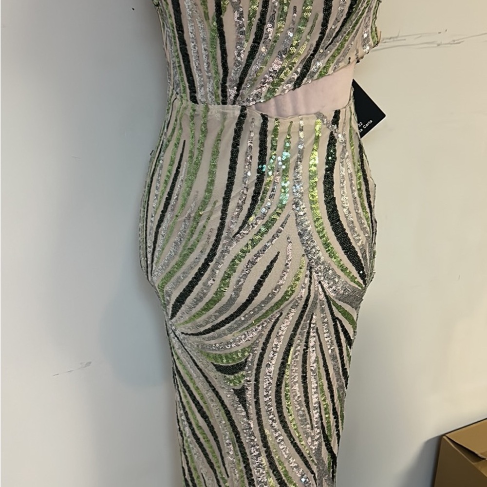 Elegant Sequin Green and Silver Dress